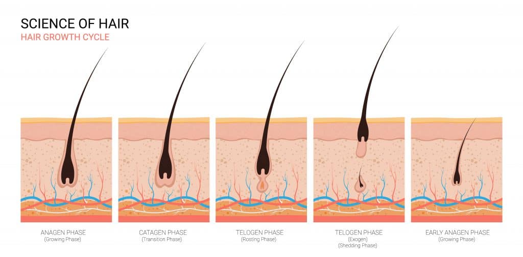 laser hair removal, laser hair removal near me, laser hair removal machine, philips laser hair removal, best laser hair removal, is laser hair removal permanent, how long does laser hair removal last, laser hair removal at home, at home laser hair removal, hollywood laser hair removal, laser hair removal manchester, braun laser hair removal, how much is laser hair removal, brazilian laser hair removal, laser hair removal cost, does laser hair removal hurt, best at home laser hair removal, best home laser hair removal, facial laser hair removal, is laser hair removal safe, best laser hair removal machine, face laser hair removal, laser hair removal course, how many sessions of laser hair removal, laser hair removal for men, bikini laser hair removal, how does laser hair removal work, does laser hair removal work, how many sessions for laser hair removal, laser hair removal prices, diode laser hair removal, how many laser hair removal sessions, laser hair removal how many sessions, laser hair removal face, men's laser hair removal, aser hair removal before and after, how many laser hair removal treatments, full body laser hair removal, men laser hair removal, mens laser hair removal, laser hair removal side effects, laser hair removal clinic, laser hair removal device, laser hair removal burns, laser hair removal aftercare, is laser hair removal dangerous, laser hair removal price, laser hair removal courses, full body laser hair removal cost, laser hair removal prices uk, full brazilian laser hair removal before and after photos, laser hair removal bikini, professional laser hair removal machine, bikini line laser hair removal, laser hair removal chin, soprano laser hair removal, underarm laser hair removal, price for laser hair removal, how much does laser hair removal cost, post laser hair removal care, upper lip laser hair removal, laser hair removal machine professional, laser hair removal full body, laser hair removal men, chin laser hair removal, laser hair removal cost uk, does laser hair removal cause cancer, laser hair removal bikini area, laser hair removal salford, salford laser hair removal, mediacity, mediacityuk, cypress quay, Salford Quays, ingrown hairs, how to get rid of ingrown hairs, how to stop ingrown hairs, how to prevent ingrown hairs, what causes ingrown hairs, prevent ingrown hairs, do ingrown hairs go away, how long do ingrown hairs last, what are ingrown hairs, ingrown hairs bikini line, ingrown hairs after waxing, how to avoid ingrown hairs, ingrown hairs after shaving, how to prevent ingrown hairs after shaving, how to stop ingrown hairs after shaving, how to avoid ingrown hairs after shaving, can ingrown hairs hurt, how to prevent ingrown hairs after waxing, how to stop ingrown hairs after waxing, how to avoid ingrown hairs after waxing, how to stop ingrown hairs on legs, ingrown hairs on face woman, waxing and ingrown hairs, getting rid of ingrown hairs, PCOS, polycystic ovaries, PCOS hair loss, PCOS hair loss treatment, PCOS hair removal, PCOS hair growth, treatment for pcos hair growth, pcos hair growth on face, pcos hair removal cream, pcos hair treatment, pcos hair on chin, pcos hair growth on face treatment, pcos hair on face, pcos hair growth patterns, does pcos hair growth get worse, manchester clinic, manchester clinics, manchester salon, manchester salons, salford, salford clinic, salford clinics, mediacity, mediacityuk, manchester spa, manchester skin clinic, manchester beauty salon, manchester